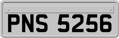 PNS5256