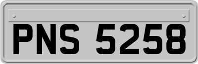 PNS5258