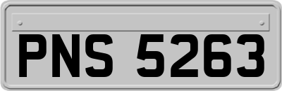 PNS5263