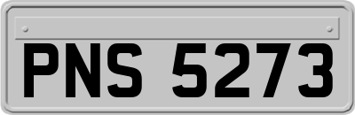 PNS5273