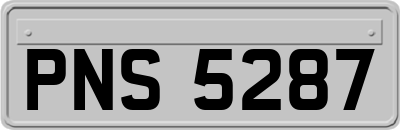 PNS5287