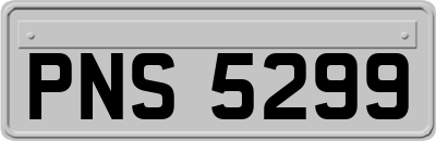 PNS5299