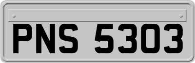 PNS5303