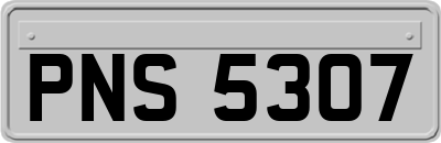 PNS5307