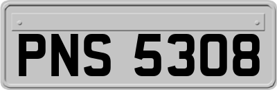 PNS5308