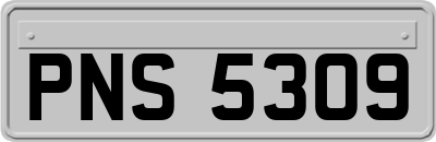 PNS5309
