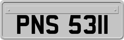 PNS5311