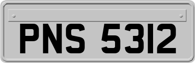 PNS5312