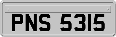 PNS5315