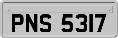 PNS5317