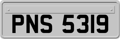 PNS5319