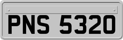 PNS5320