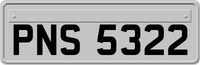 PNS5322