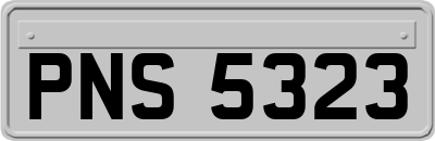 PNS5323