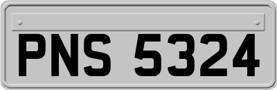 PNS5324