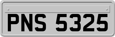 PNS5325