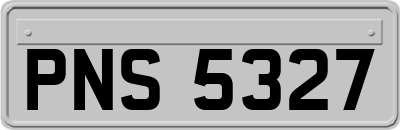 PNS5327