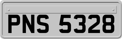 PNS5328