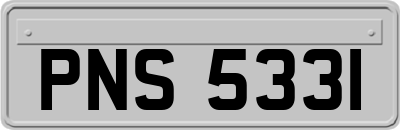 PNS5331