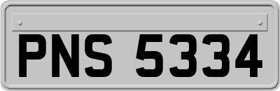 PNS5334