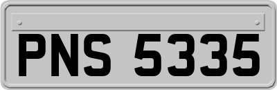 PNS5335