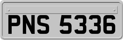 PNS5336