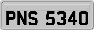 PNS5340