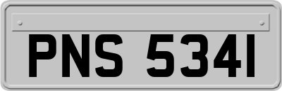 PNS5341