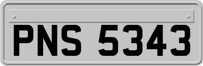 PNS5343