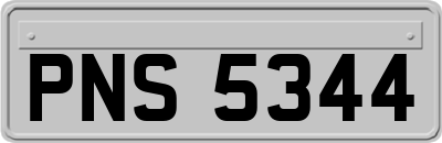 PNS5344