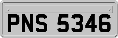 PNS5346