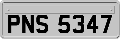 PNS5347