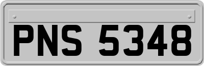PNS5348