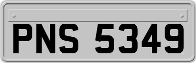 PNS5349
