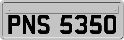 PNS5350