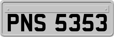 PNS5353