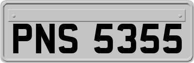 PNS5355