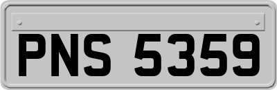 PNS5359