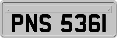 PNS5361