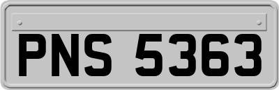 PNS5363