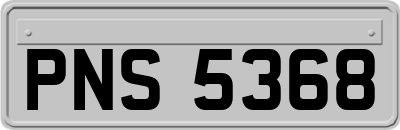 PNS5368