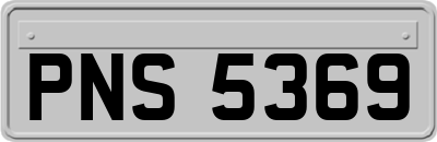 PNS5369
