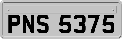 PNS5375