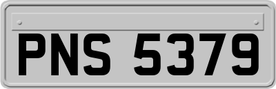 PNS5379