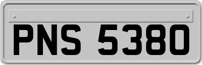 PNS5380