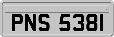 PNS5381