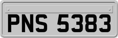 PNS5383