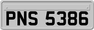PNS5386