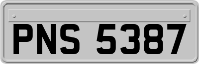 PNS5387
