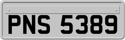 PNS5389